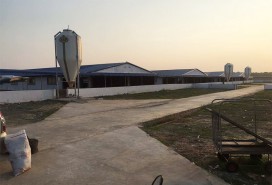 Hog house application