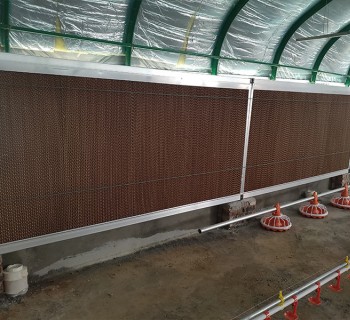 Chicken house greenhouse scene